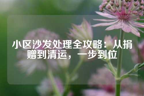 小区沙发处理全攻略：从捐赠到清运，一步到位