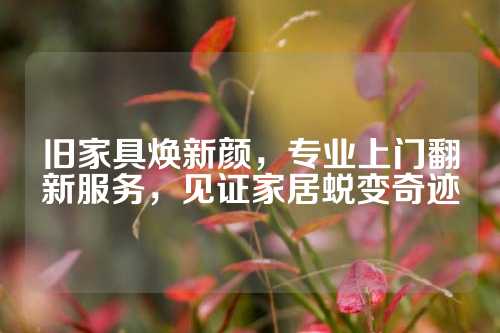 旧家具焕新颜，专业上门翻新服务，见证家居蜕变奇迹