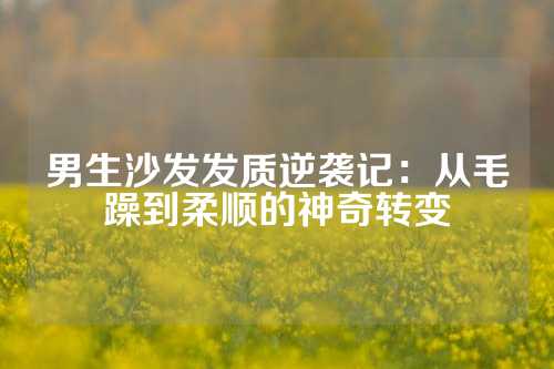 男生沙发发质逆袭记：从毛躁到柔顺的神奇转变
