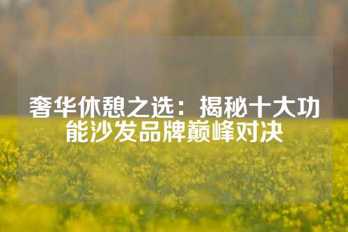 奢华休憩之选：揭秘十大功能沙发品牌巅峰对决