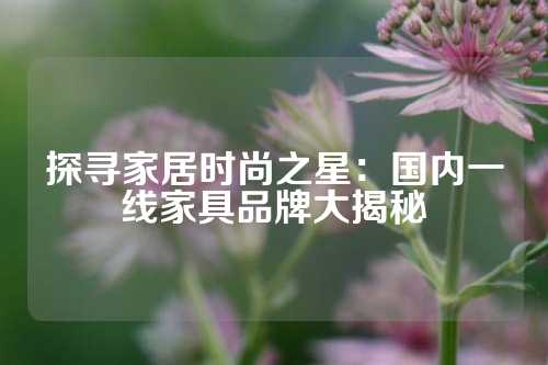 探寻家居时尚之星：国内一线家具品牌大揭秘