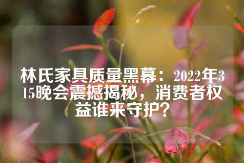 林氏家具质量黑幕：2022年315晚会震撼揭秘，消费者权益谁来守护？