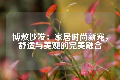 博敖沙发：家居时尚新宠，舒适与美观的完美融合