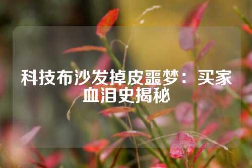 科技布沙发掉皮噩梦：买家血泪史揭秘