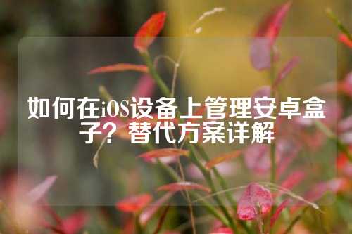 如何在iOS设备上管理安卓盒子？替代方案详解
