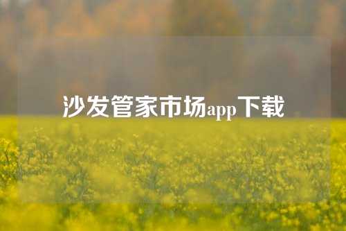 沙发管家市场app下载