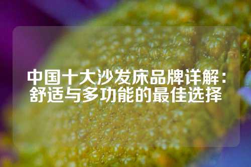 中国十大沙发床品牌详解：舒适与多功能的最佳选择