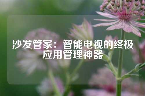 沙发管家：智能电视的终极应用管理神器