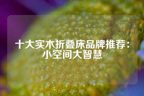 十大实木折叠床品牌推荐：小空间大智慧