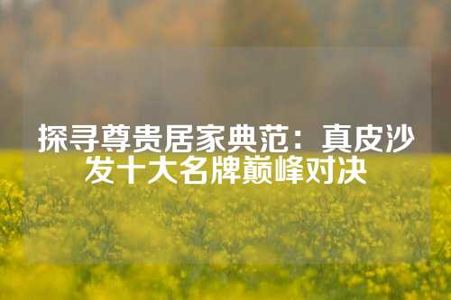 探寻尊贵居家典范：真皮沙发十大名牌巅峰对决