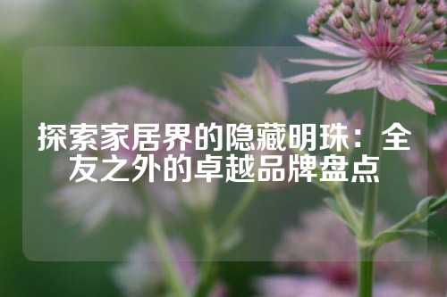 探索家居界的隐藏明珠：全友之外的卓越品牌盘点