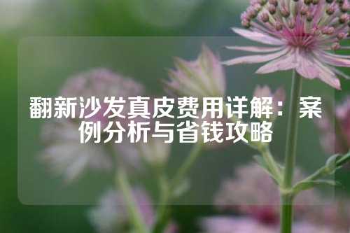翻新沙发真皮费用详解：案例分析与省钱攻略