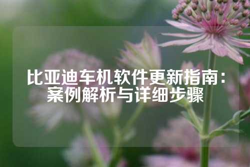 比亚迪车机软件更新指南：案例解析与详细步骤
