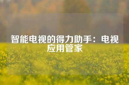智能电视的得力助手：电视应用管家