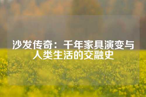 沙发传奇：千年家具演变与人类生活的交融史