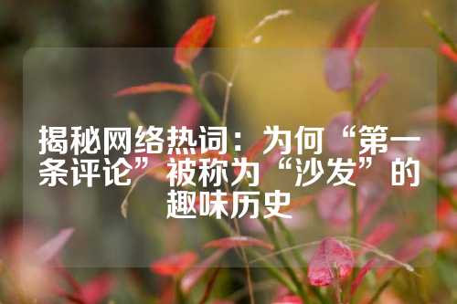 揭秘网络热词：为何“第一条评论”被称为“沙发”的趣味历史