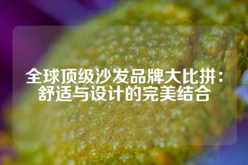 全球顶级沙发品牌大比拼：舒适与设计的完美结合