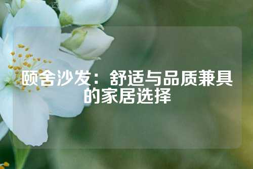 颐舍沙发：舒适与品质兼具的家居选择
