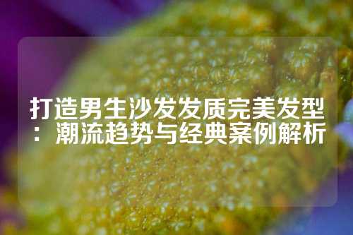 打造男生沙发发质完美发型:潮流趋势与经典案例解析
