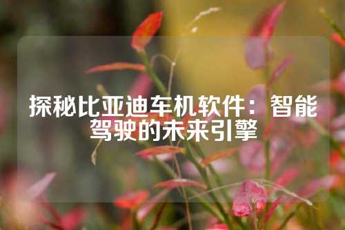 探秘比亚迪车机软件：智能驾驶的未来引擎