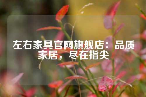 左右家具官网旗舰店：品质家居，尽在指尖