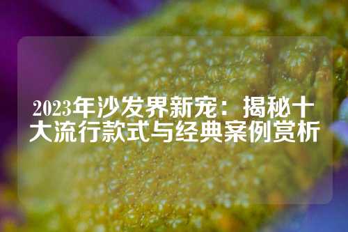 2023年沙发界新宠：揭秘十大流行款式与经典案例赏析