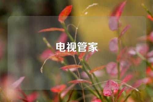 电视管家