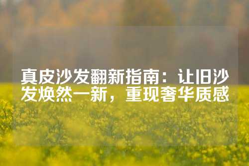 真皮沙发翻新指南：让旧沙发焕然一新，重现奢华质感