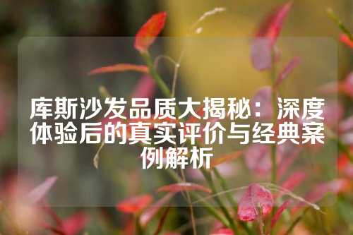 库斯沙发品质大揭秘：深度体验后的真实评价与经典案例解析