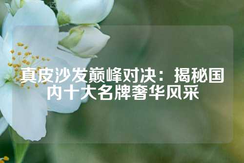 真皮沙发巅峰对决：揭秘国内十大名牌奢华风采