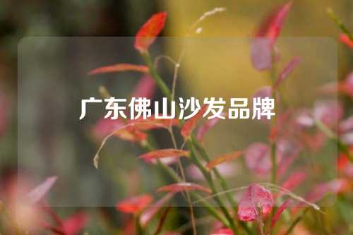 广东佛山沙发品牌