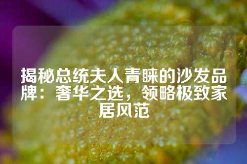 揭秘总统夫人青睐的沙发品牌:奢华之选,领略极致家居风范