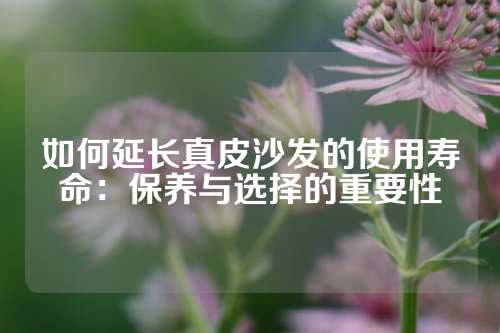 如何延长真皮沙发的使用寿命：保养与选择的重要性