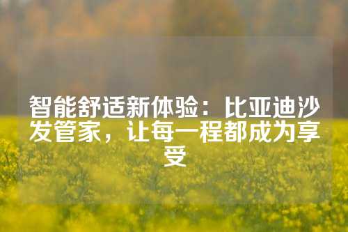 智能舒适新体验：比亚迪沙发管家，让每一程都成为享受
