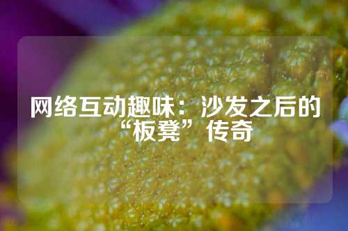 网络互动趣味：沙发之后的“板凳”传奇