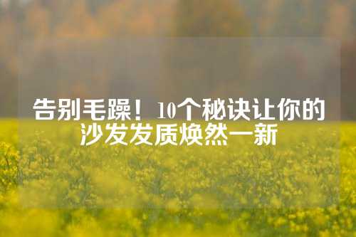 告别毛躁！10个秘诀让你的沙发发质焕然一新