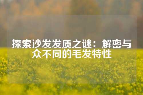 探索沙发发质之谜：解密与众不同的毛发特性