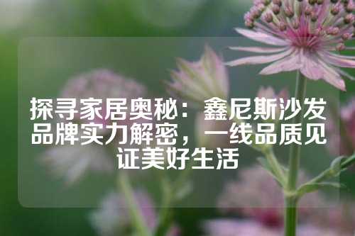探寻家居奥秘：鑫尼斯沙发品牌实力解密，一线品质见证美好生活