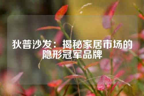 狄普沙发：揭秘家居市场的隐形冠军品牌