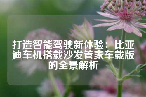 打造智能驾驶新体验：比亚迪车机搭载沙发管家车载版的全景解析