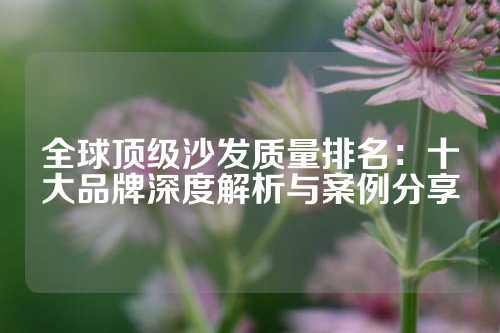 全球顶级沙发质量排名：十大品牌深度解析与案例分享