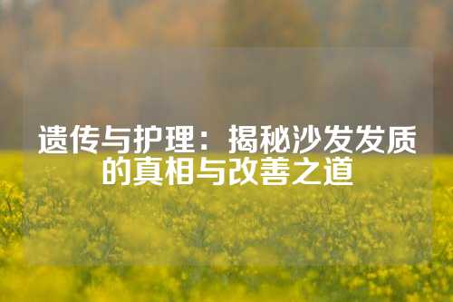 遗传与护理：揭秘沙发发质的真相与改善之道
