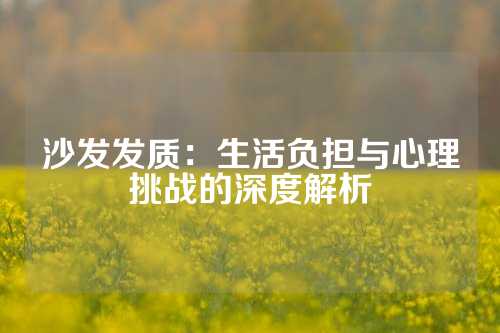 沙发发质：生活负担与心理挑战的深度解析