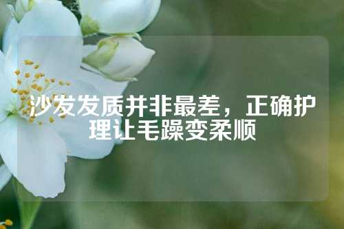 沙发发质并非最差，正确护理让毛躁变柔顺