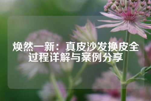 焕然一新：真皮沙发换皮全过程详解与案例分享