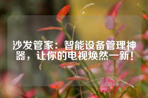 沙发管家：智能设备管理神器，让你的电视焕然一新！