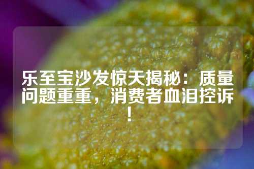 乐至宝沙发惊天揭秘：质量问题重重，消费者血泪控诉！