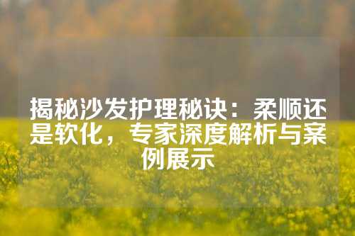 揭秘沙发护理秘诀：柔顺还是软化，专家深度解析与案例展示