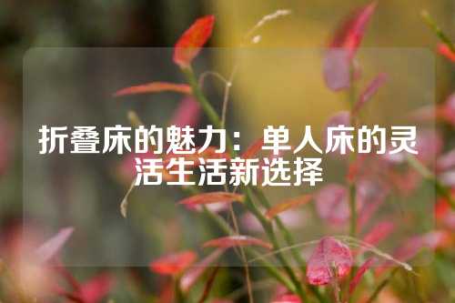 折叠床的魅力:单人床的灵活生活新选择