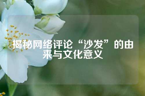 揭秘网络评论“沙发”的由来与文化意义